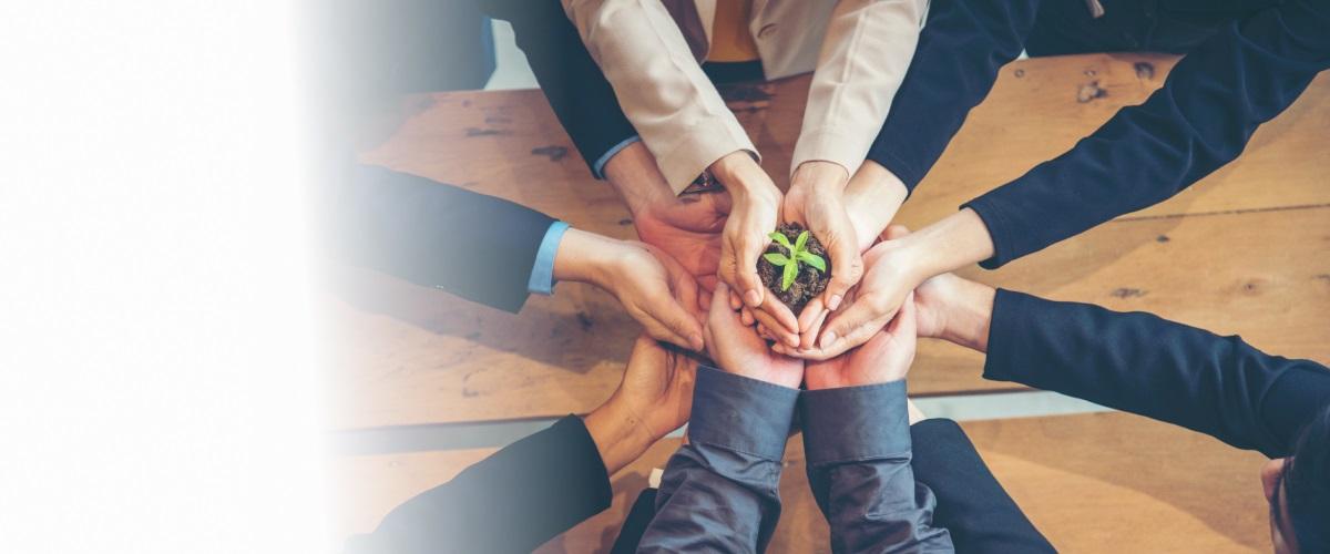 5 filarów skutecznego raportowania wpływu dla NGO